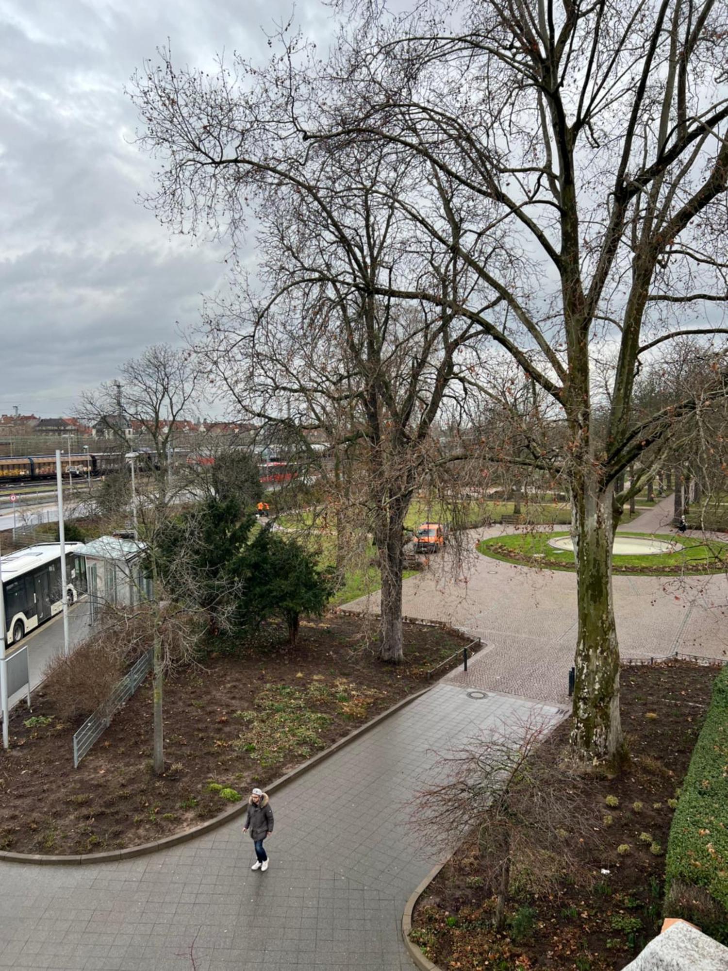 Albert-Schulte-Park Apartment- Worms Bagian luar foto